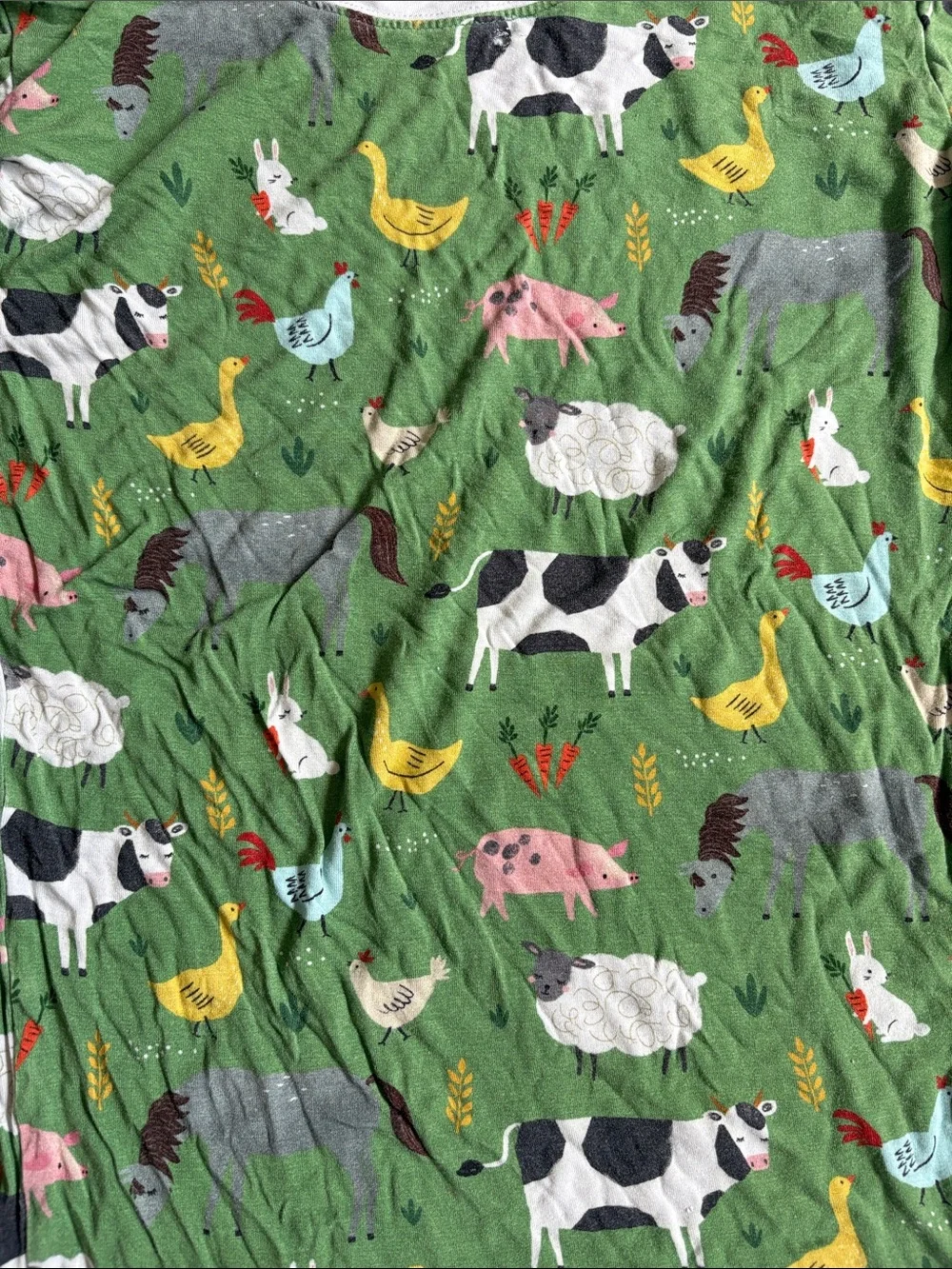 Little Sleepies green bamboo Farm Animals print, 2 piece pajama set. Size 9/10